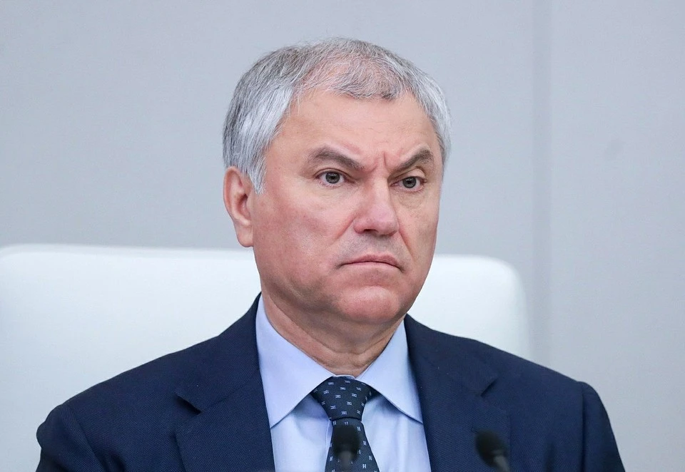 Володин считает неправильным решение проблем демографии налогом на бездетность