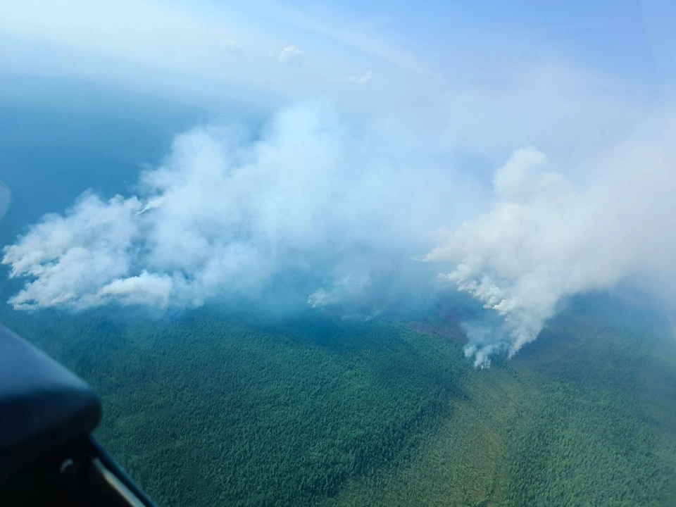 Фото: лесопожарный центр Красноярского края
