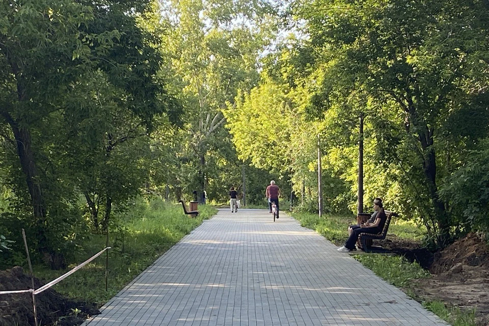 Благоустройство парка Ленина в Барнауле