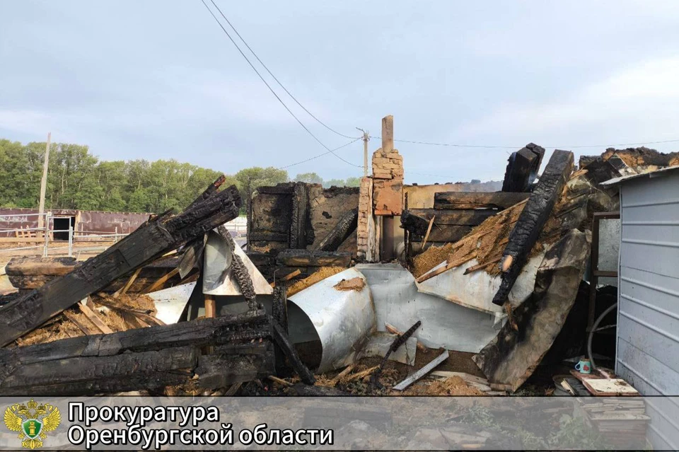 Пожар произошел 21 июля ночью на улице Песчаной села Песчаное Илекского района. Фото: прокуратура Оренбуржья