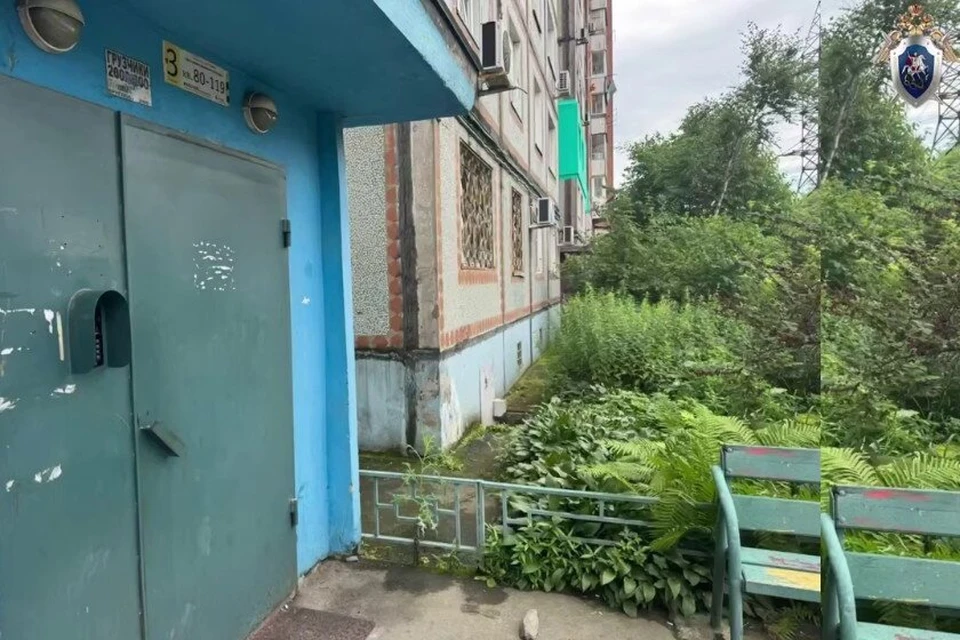 Сейчас следователи выясняют все обстоятельства происшествия. Фото: Следком Приморья