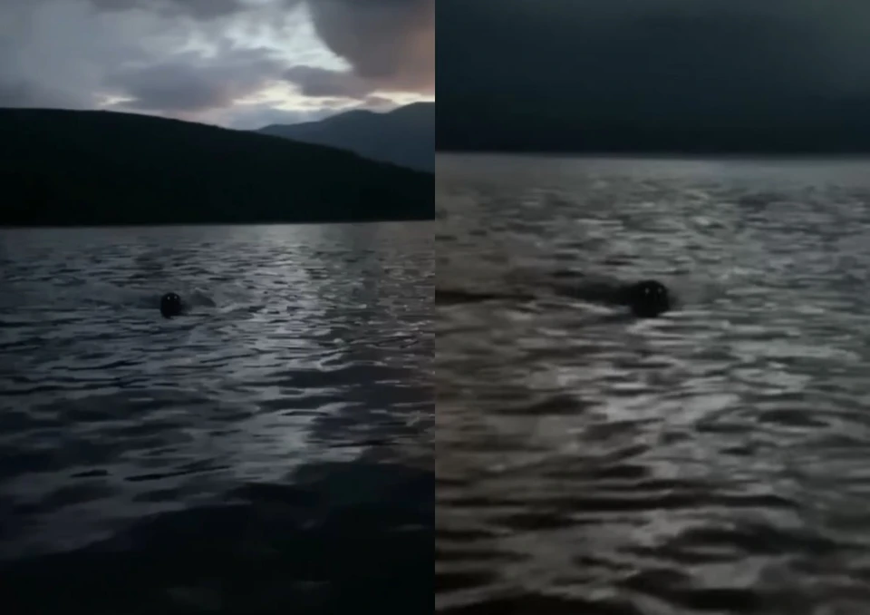 Фото: ФГУ Заповедное Подлеморье.