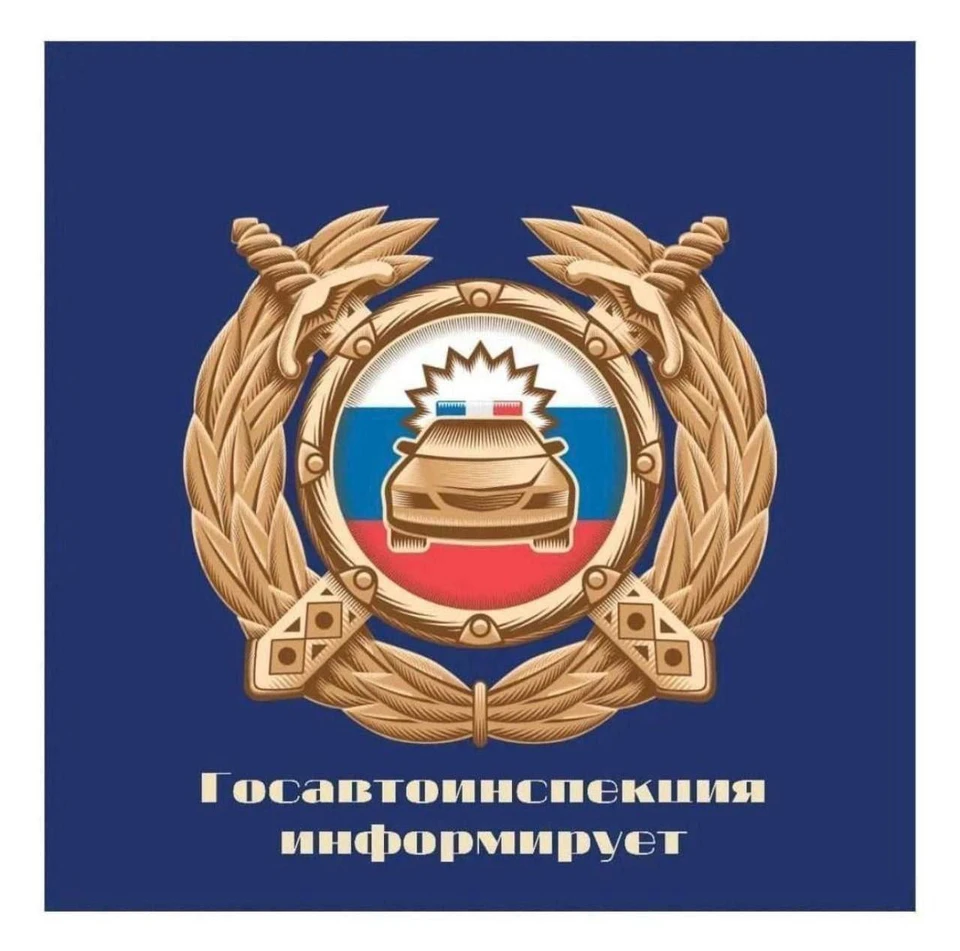 Видеокамеры появились еще на девяти дорогах. Фото: Госавтоинспекция Ярославской области
