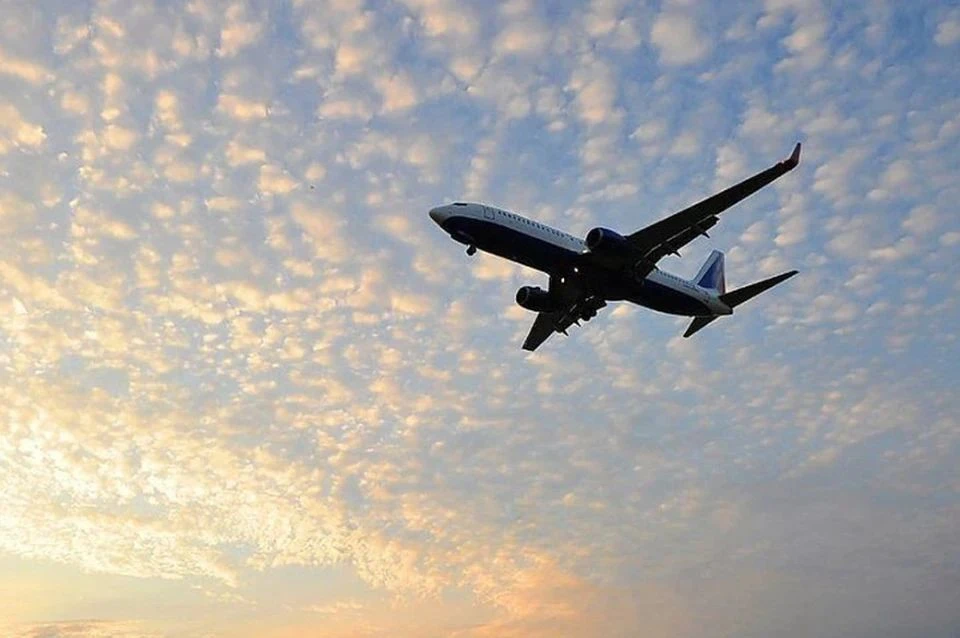 В аэропортах Москвы и Петербурга было отменено 517 рейсов с 19 по 22 июля