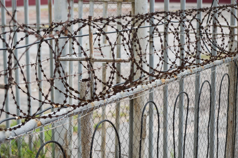 Коллегу Дениса Аллаярова задержали в Екатеринбурге.