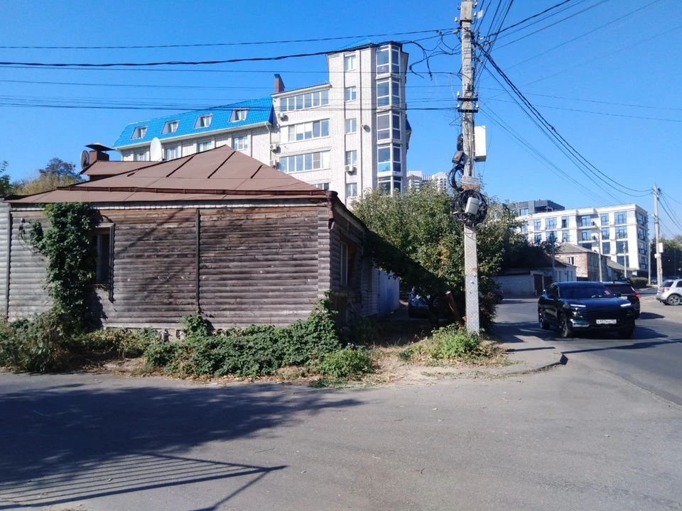 Фото Елены Федяшевой