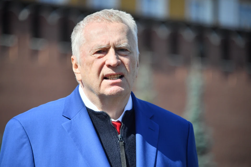 Памятник Владимиру Жириновскому могут установить в Нижнем Новгороде
