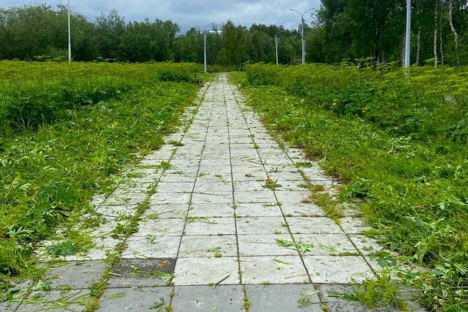 Фото: администрация Инты.