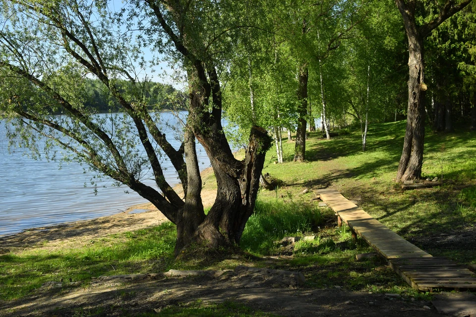 Фото: из архива издания.