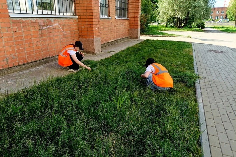 В Тутаеве подростки стригли газон ножницами. ФОТО: группа "Типичный Тутаев" ВКонтакте