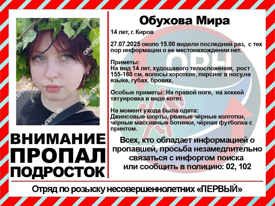 Поисковые мероприятия организованы волонтерами в сотрудничестве с сотрудниками полиции. Фото: Отряд по розыску несовершеннолетних «Первый»