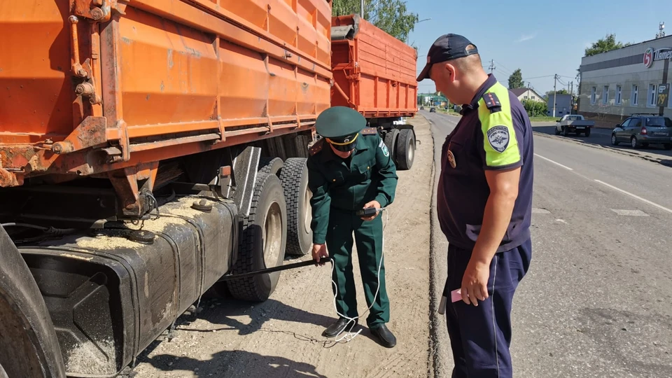 Фото: Министерство экологии и природных ресурсов Республики Татарстан.