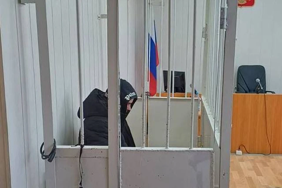 Преступник в зале суда. Фото: Амурский областной суд