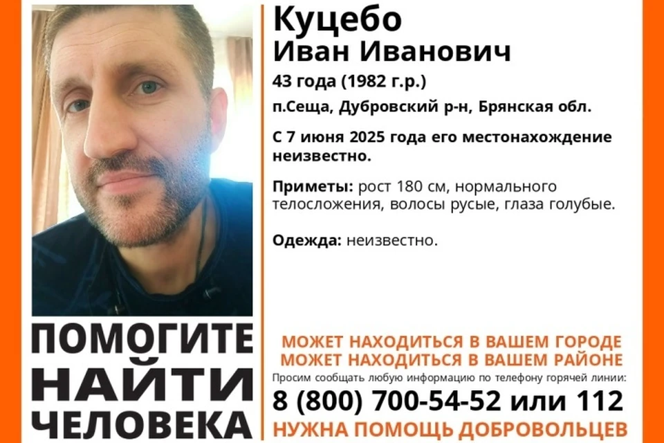 Фото: поисковый отряд "Лиза Алерт", ВКонтакте.