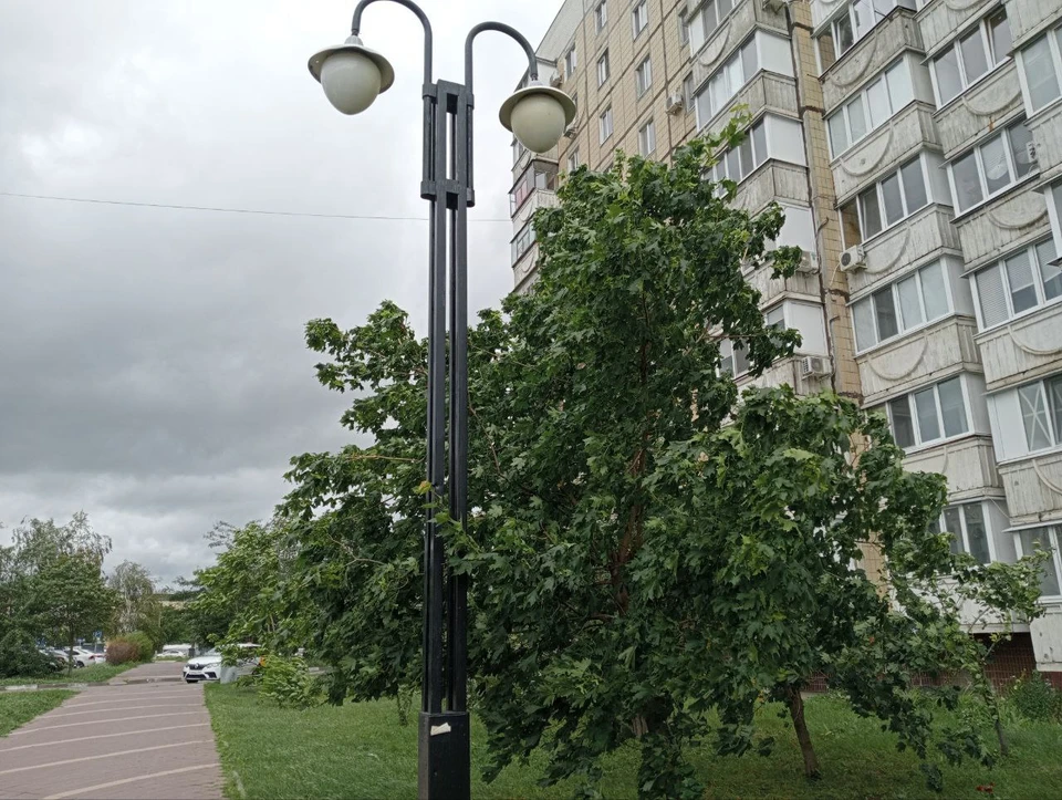 Дожди с грозами и сильный ветер обещают белгородцам 31 июля