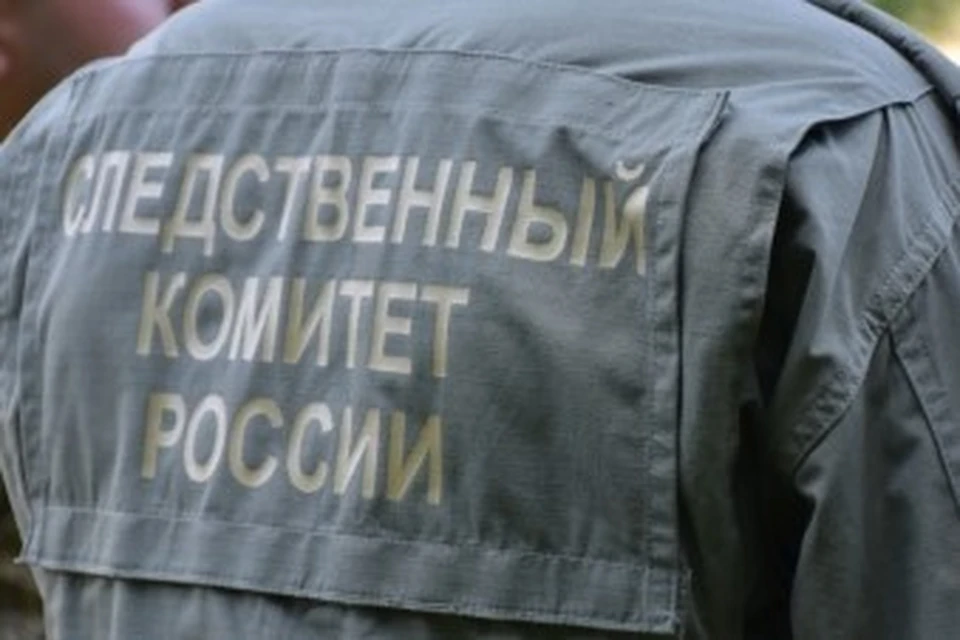 Фото: Пресс-служба регионального СК