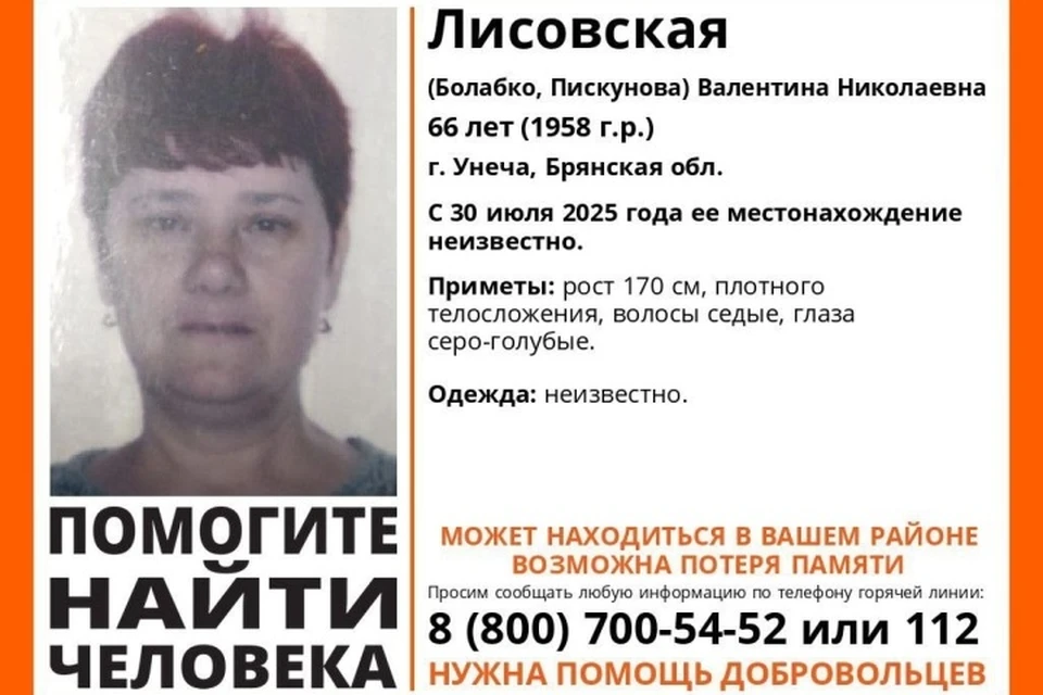 Фото: поисковый отряд "Лиза Алерт", ВКонтакте.