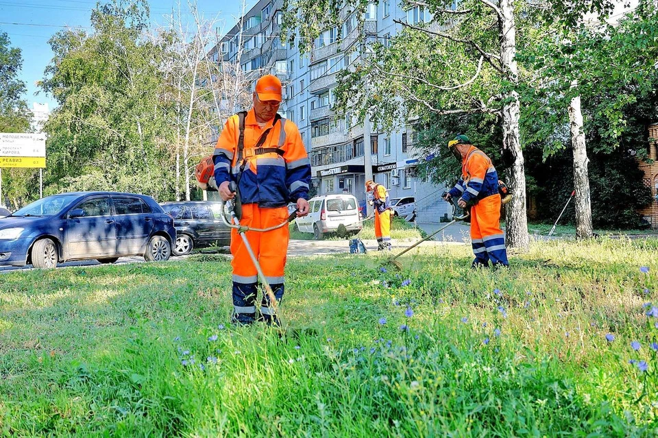 Газон уже покосили на улицах Ново-Урицкая, Садовая, Ярмарочная, Чернореченская