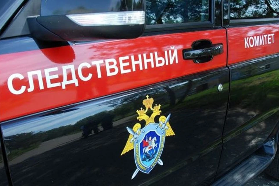 Следователи и криминалисты осмотрели место трагедии, назначена экспертиза. Фото: СК РФ