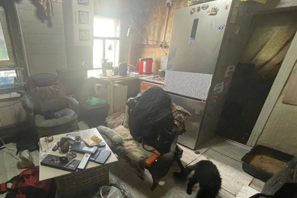 В Новосибирске женщину осудят за жестокое обращение с детьми. Фото: пресс-служба СУ СК России Новосибирской области