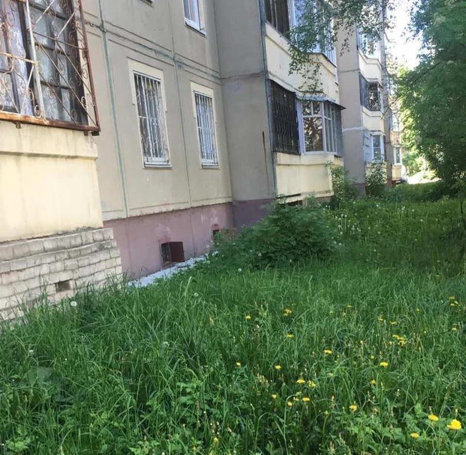 Источник: https://grad.kostroma.gov.ru/