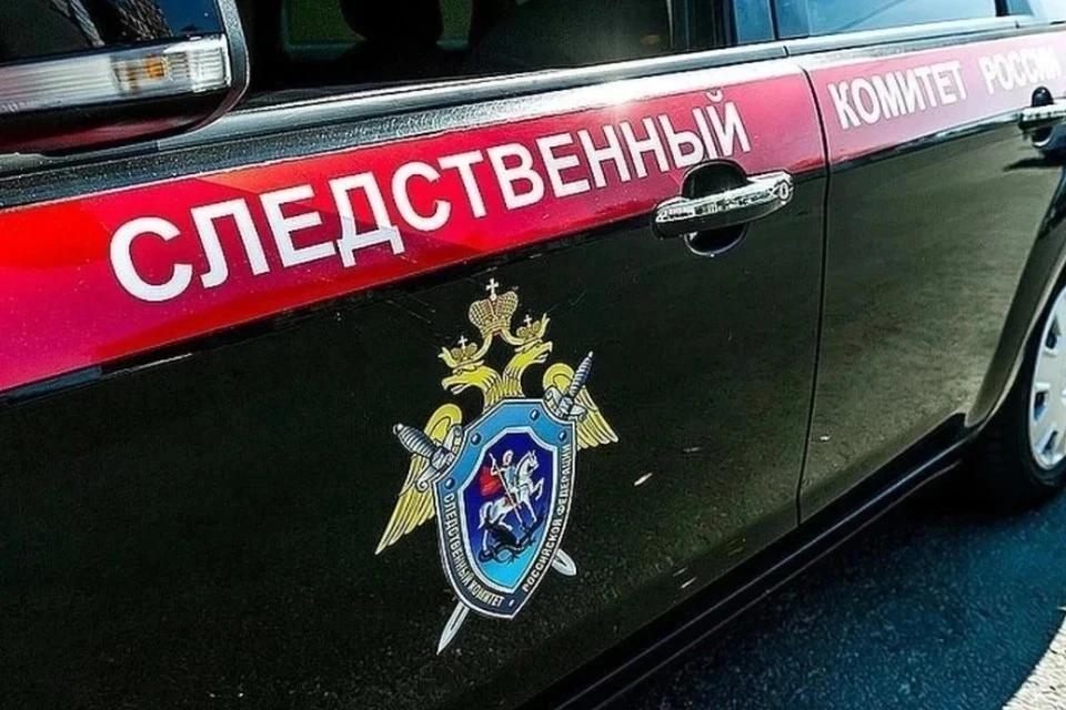 СК проводит проверку по факту избиения 14-летней школьницы в Крыму