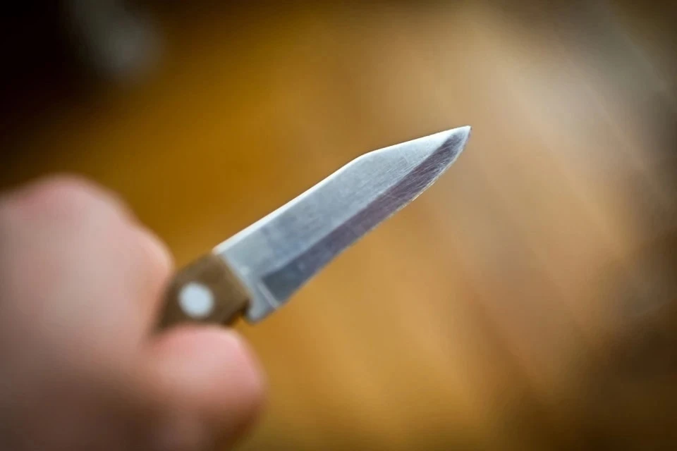Зарезавшего собутыльника жителя Коми заключили под стражу