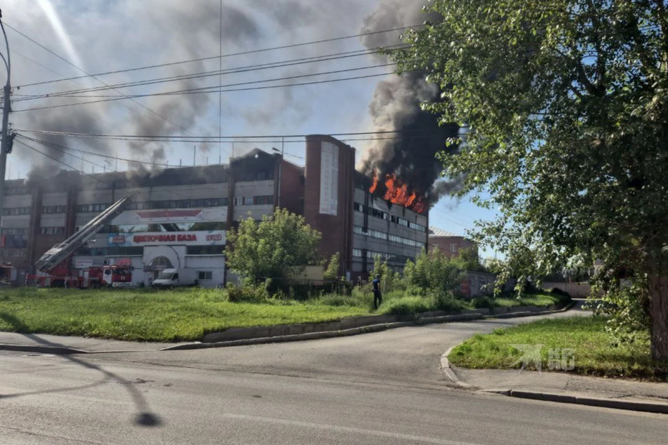 Фото: предоставлено очевидцем