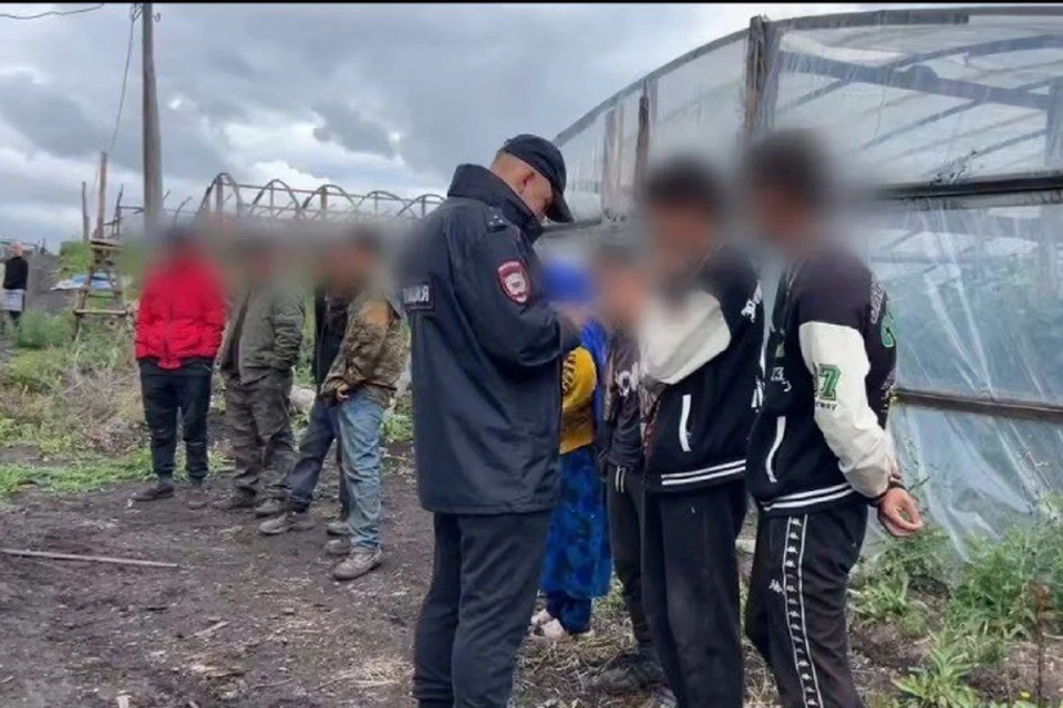 В Иркутской области выявили более 200 нарушений миграционного законодательства