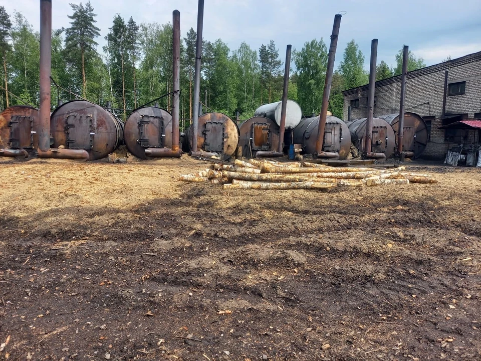 Фото: УФССП России по Костромской области