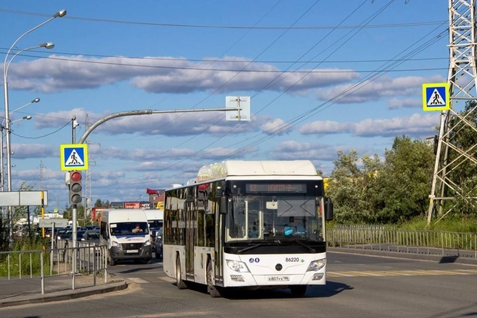 Фото: Александр Градков
