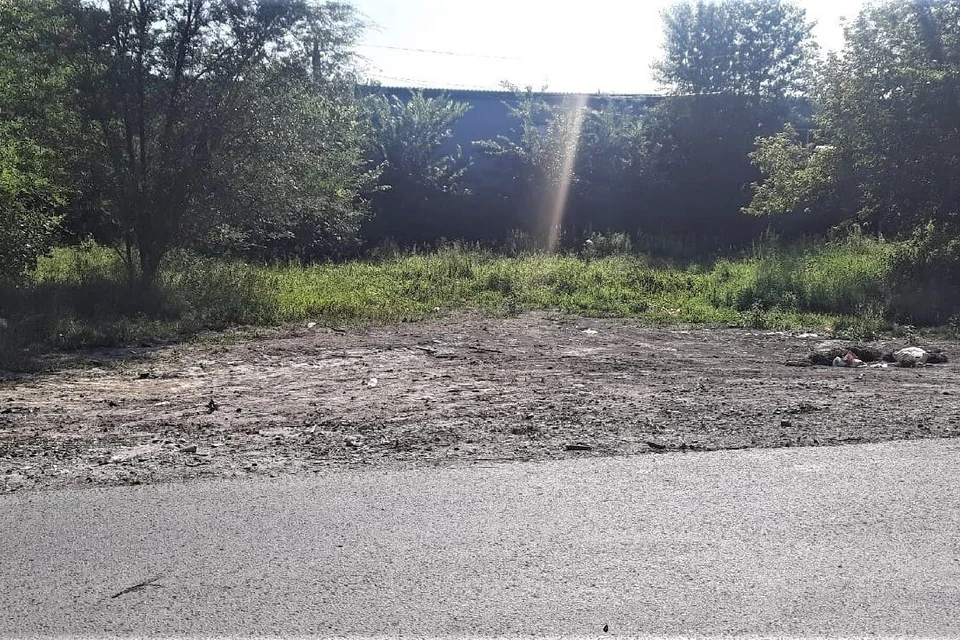 Свалку оперативно убрали. Фото: Минприроды Алтайского края