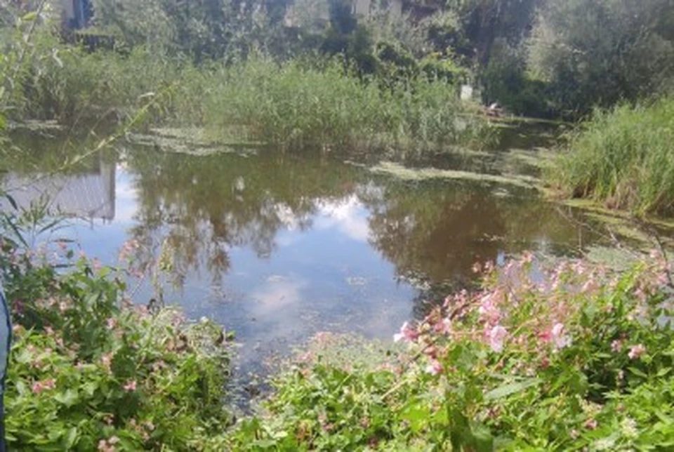 Ребенка нашли в водоеме в 25 метрах от дома