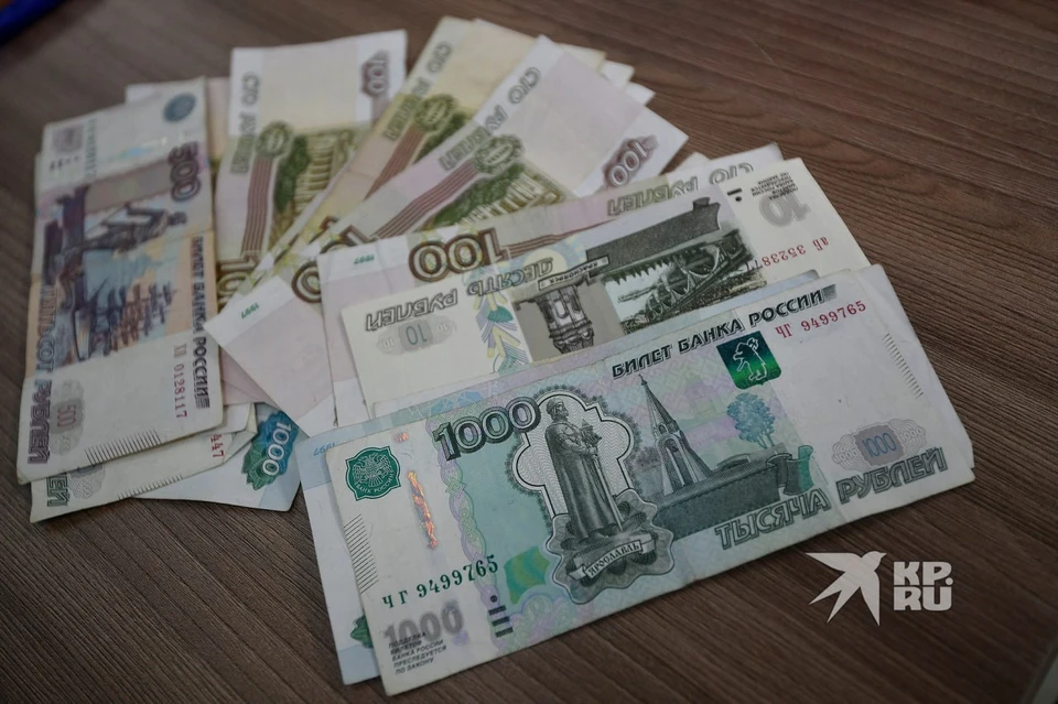 Камышловский приют для животных оштрафован за плохие условия содержания