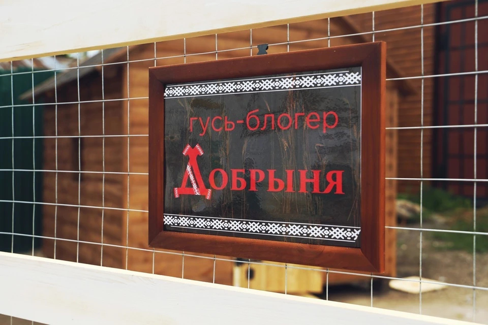 Тульский «Добродей» может стать лучшим туристическим местом России