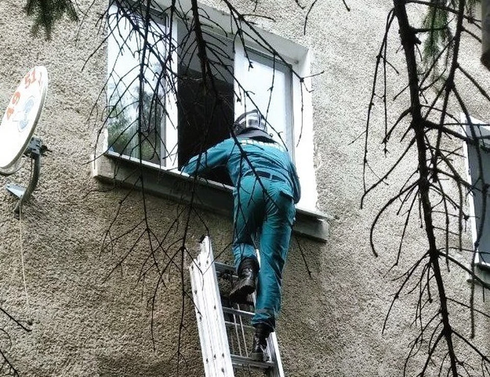 Фото: УГЗ