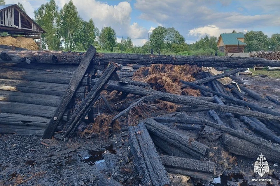 Животных удалось спасти.