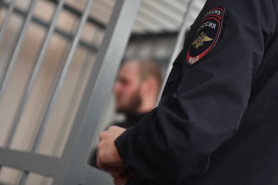Директора нижегородской организации осудят после травмирования ребенка веткой.
