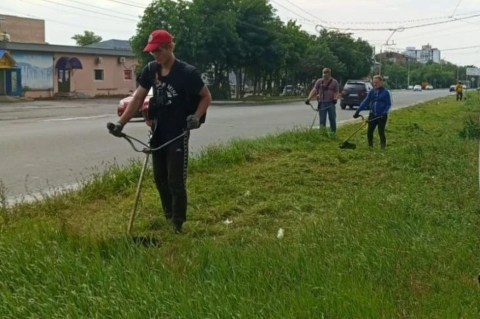 За неделю от сорняков освободили площадь в 592,5 тысяч кв. метров.