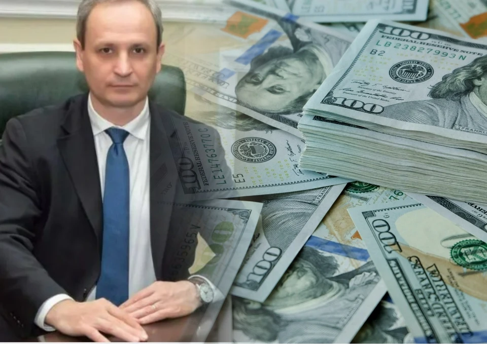 Ректор Технического университета будет платить почти 94 тысяч долларов за учебу дочери в университете Чикаго. Фото:коллаж КП