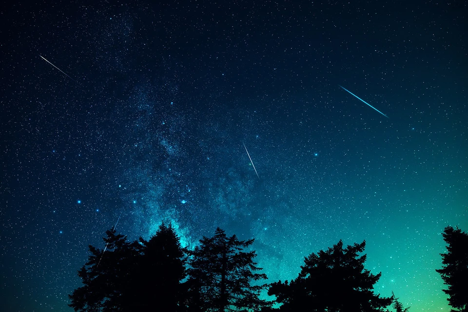 В ночь на среду, 13 августа, – максимум августовского звездопада. Фото: AstroStar/Shutterstock/Fotodom
