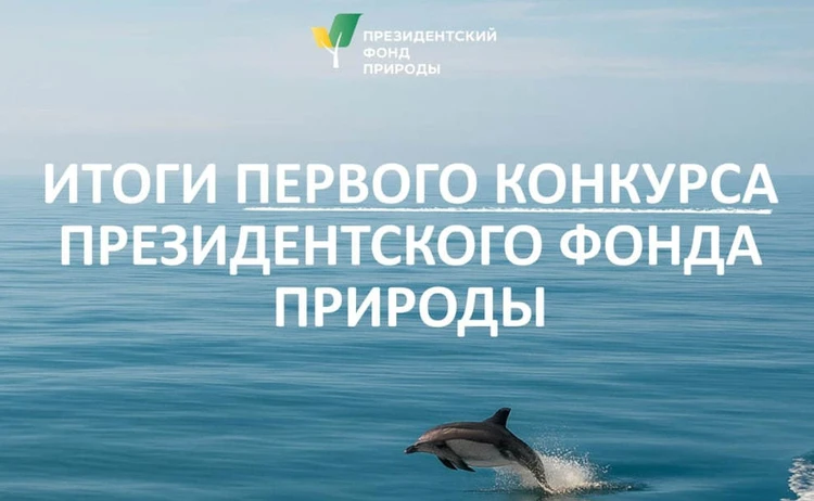 Победителями первого конкурса Президентского фонда природы стали 164 проекта со всей России