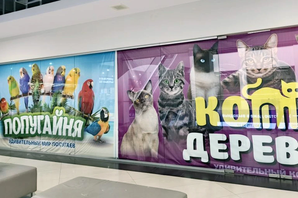 Фото: Уральское управление Россельхознадзора