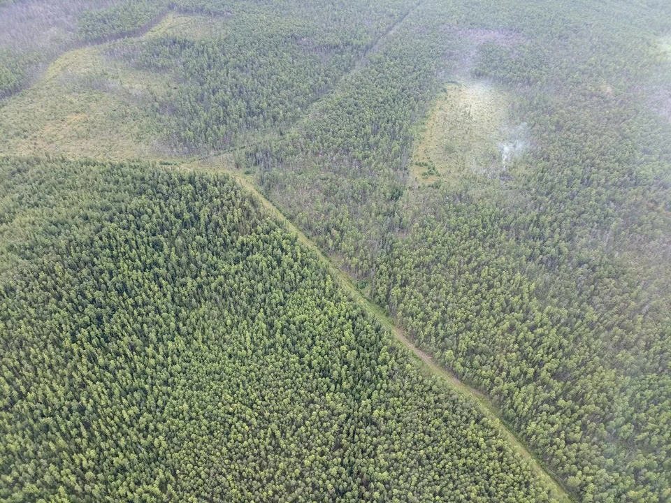 Фото: лесопожарный центр Красноярского края