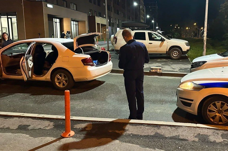 Преступление было совершено в пятницу 15 августа вечером на улице Крауля Фото: СУ СКР по Свердловской области