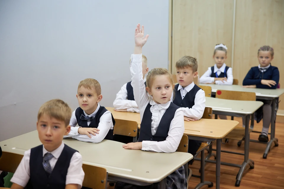 Родителям рассказали, что ждет ребят в школе с 1 сентября: планируется ввести новый предмет