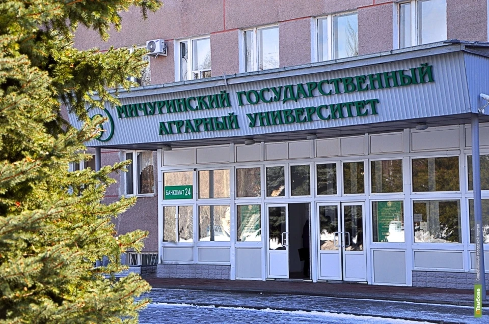 Сотрудников университета обвиняют в мошенничестве и пособничестве в мошенничестве