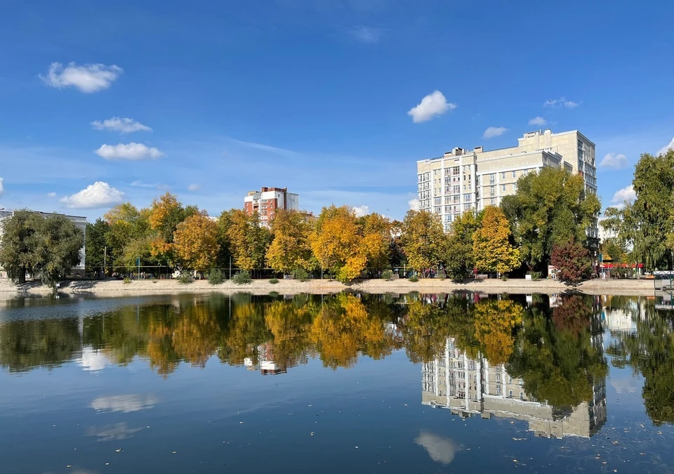 В Росреестре объяснили, что делать при приостановке регистрации недвижимости.