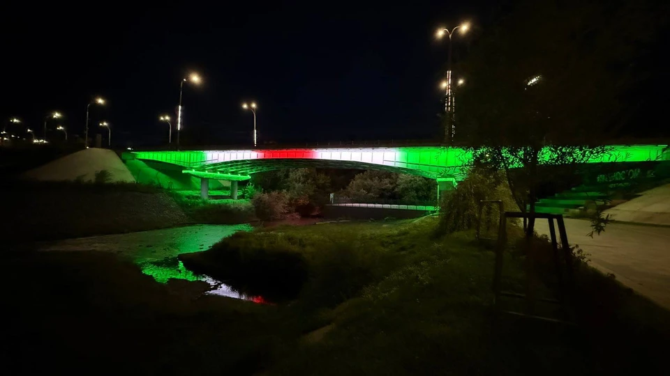 Фото: телеграм-канал Дмитрия Анисимова.