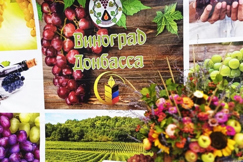 В Донецком ботаническом саду прошел фестиваль «Виноград Донбасса». Фото: Минсельхоз ДНР